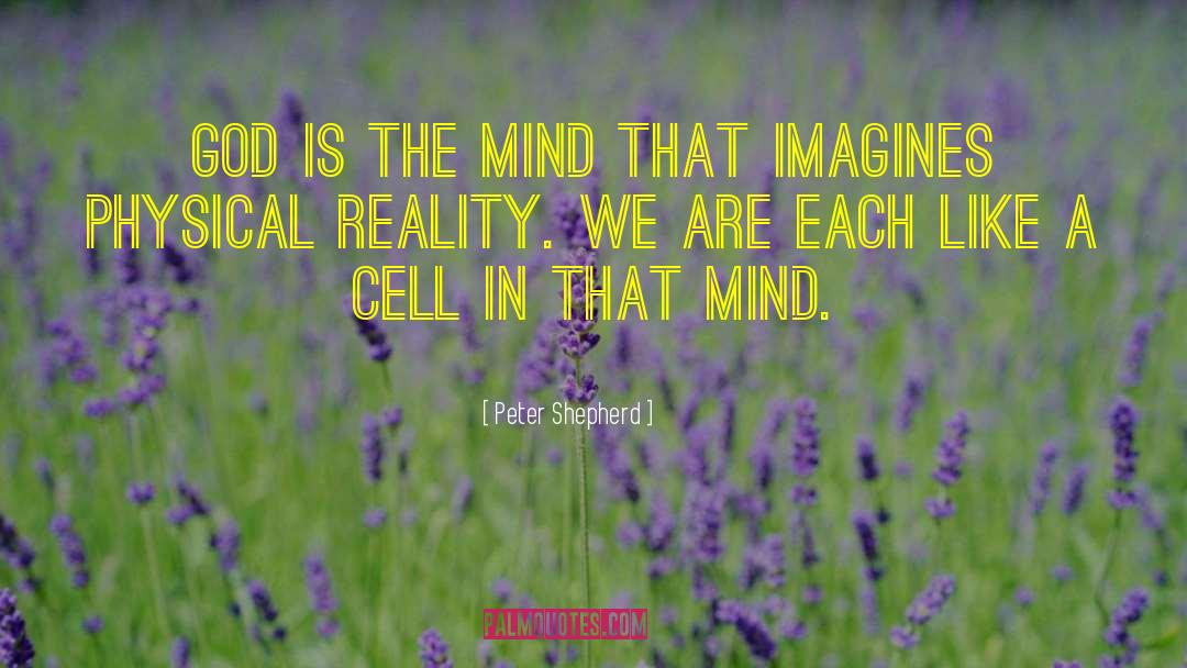 Physical Reality quotes by Peter Shepherd