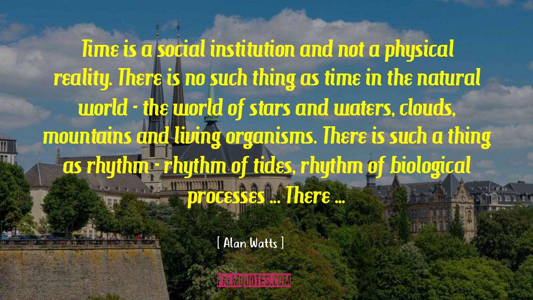 Physical Reality quotes by Alan Watts