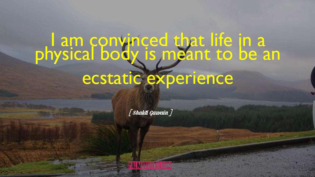 Physical Therapy quotes by Shakti Gawain