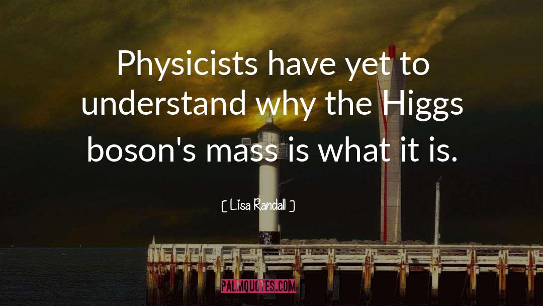 Physicist quotes by Lisa Randall