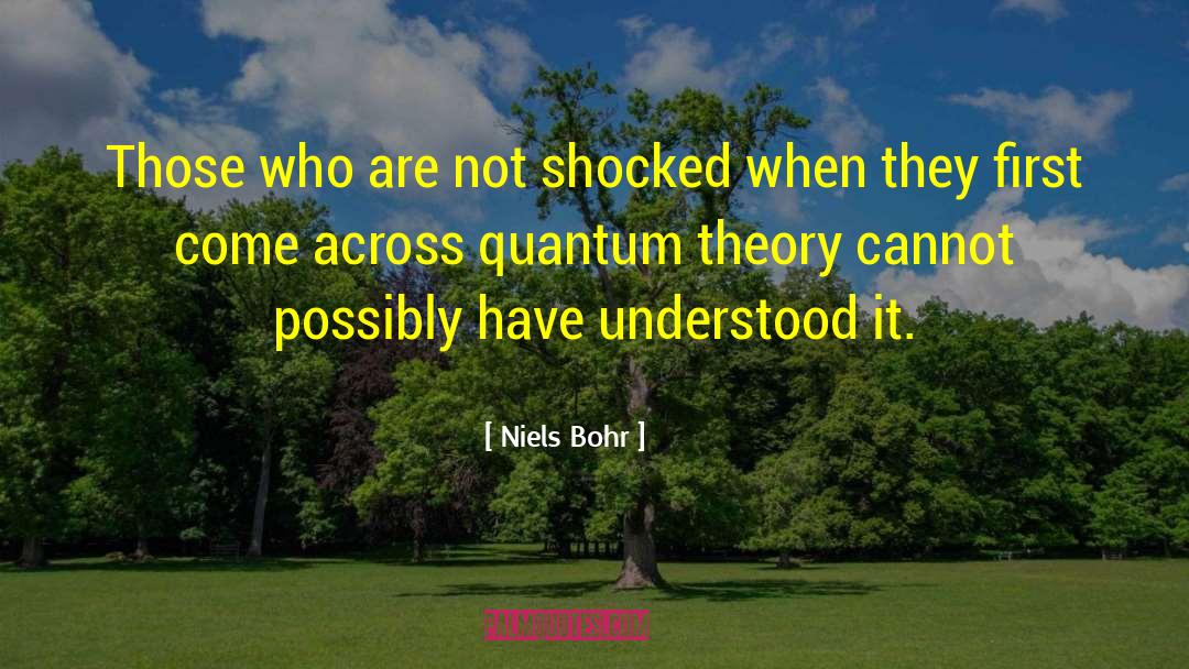 Physics Formula quotes by Niels Bohr