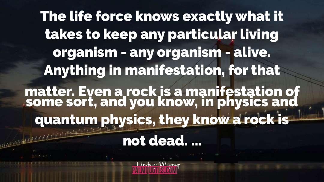 Physics quotes by Lindsay Wagner