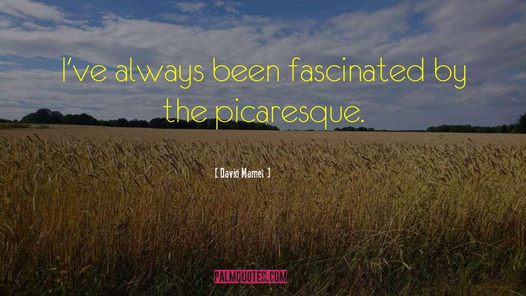 Picaresque quotes by David Mamet