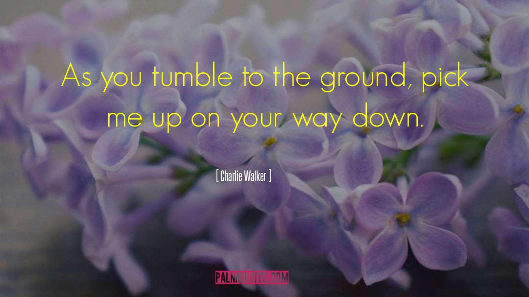 Pick Me Up quotes by Charlie Walker