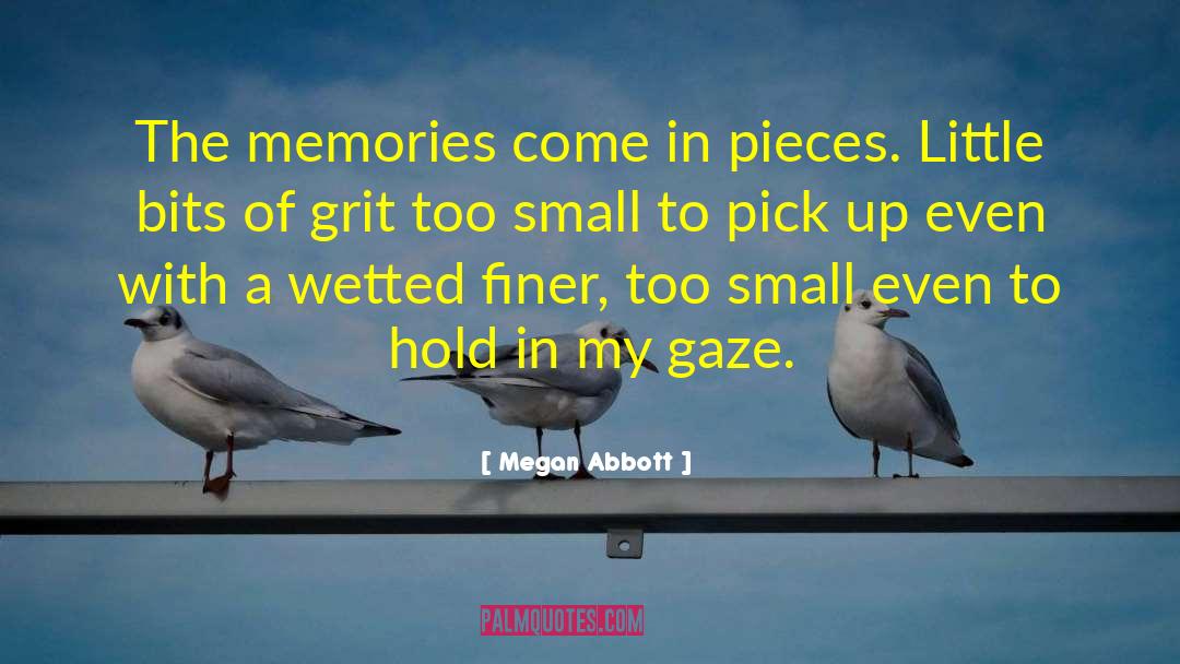 Pick Up Others quotes by Megan Abbott