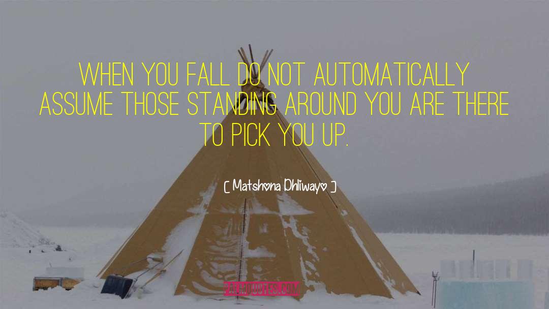 Pick You Up quotes by Matshona Dhliwayo