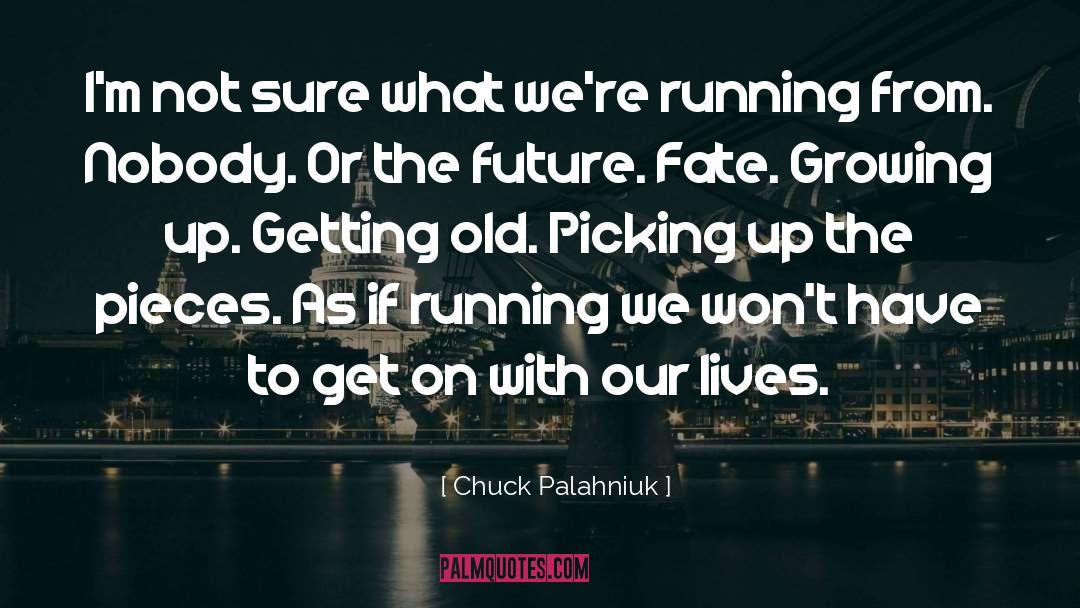 Picking Up The Pieces quotes by Chuck Palahniuk