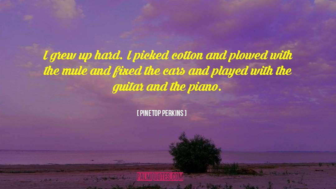 Pickups Guitar quotes by Pinetop Perkins