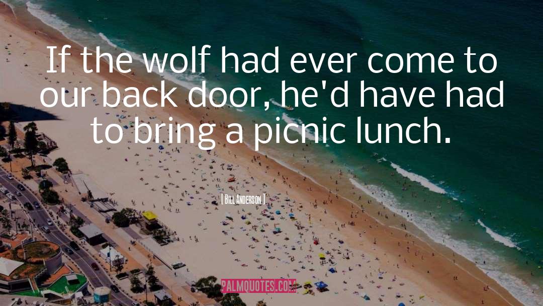 Picnic quotes by Bill Anderson