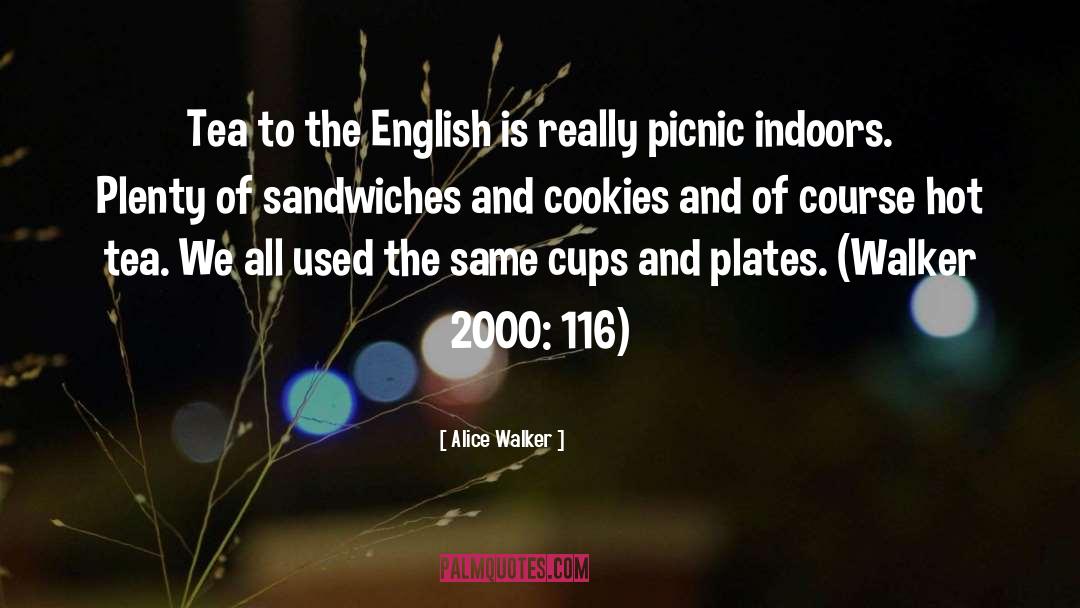 Picnic quotes by Alice Walker