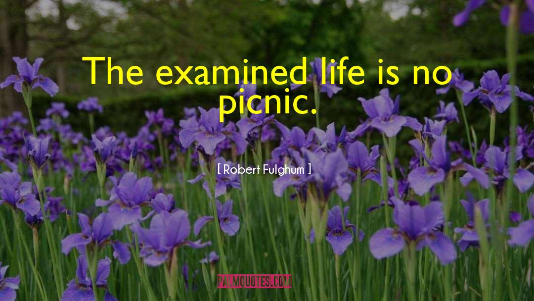 Picnic quotes by Robert Fulghum