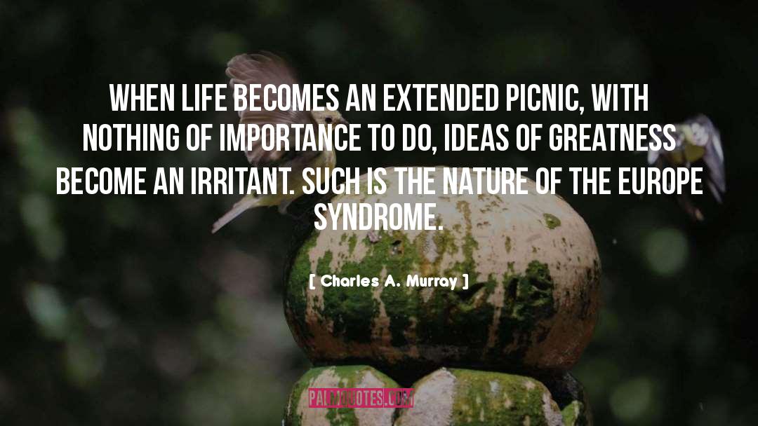 Picnic quotes by Charles A. Murray