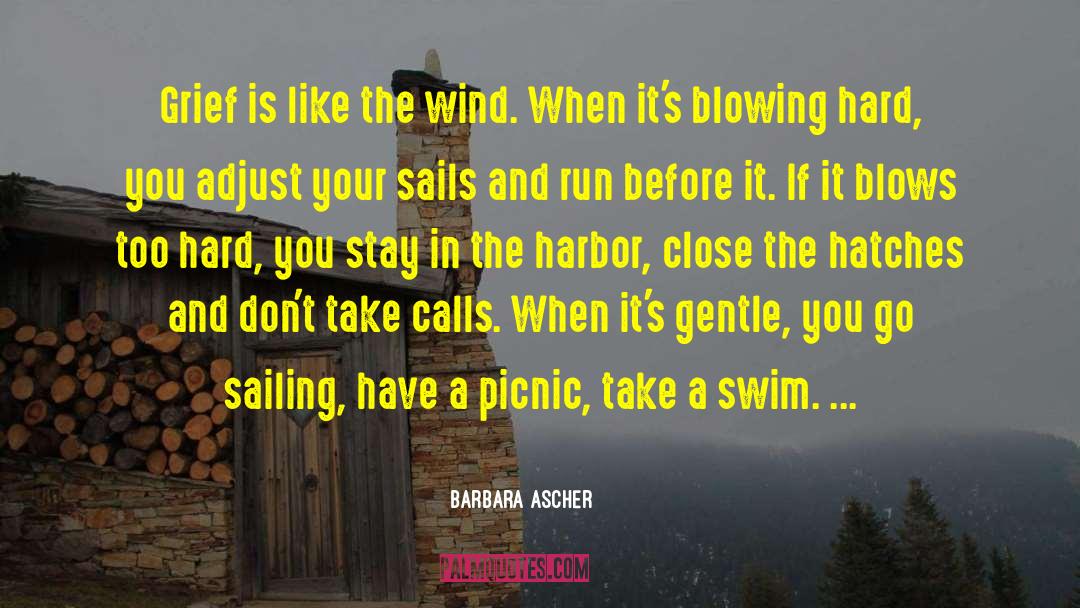 Picnics quotes by Barbara Ascher