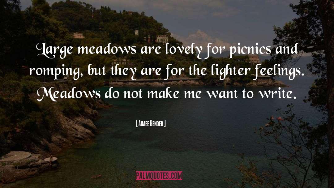 Picnics quotes by Aimee Bender