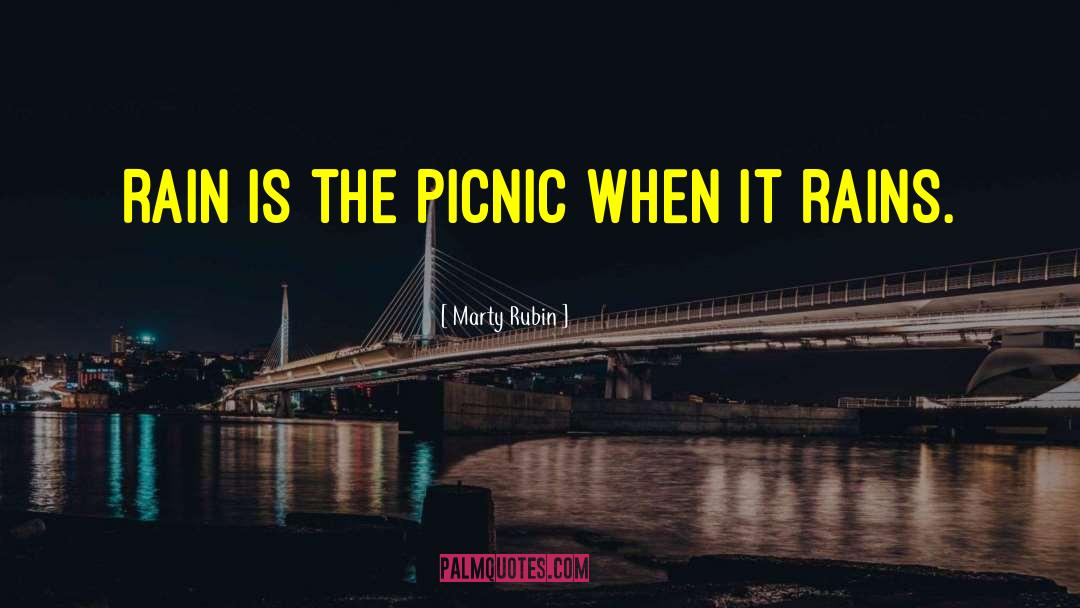 Picnics quotes by Marty Rubin