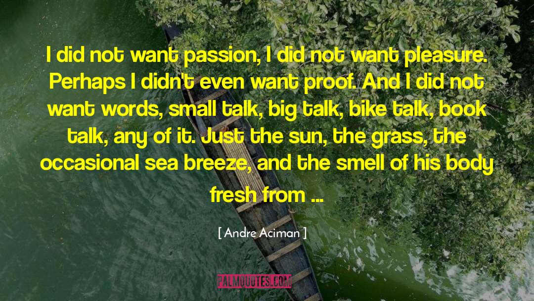 Picozzis Bike quotes by Andre Aciman