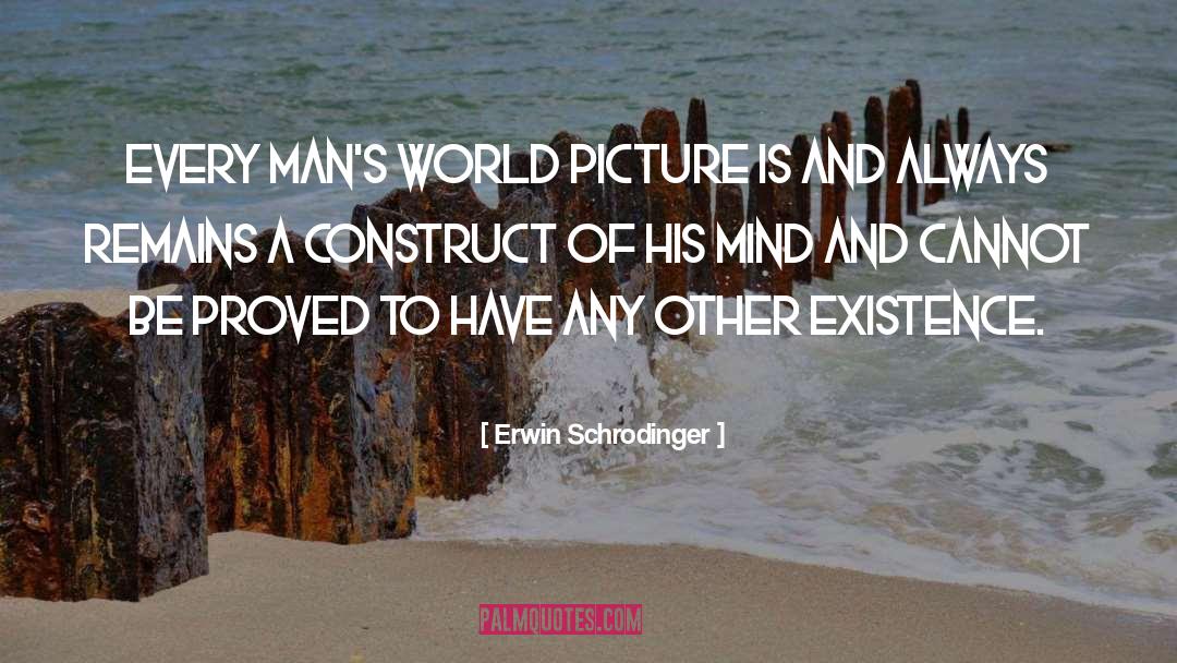 Picture Frames quotes by Erwin Schrodinger