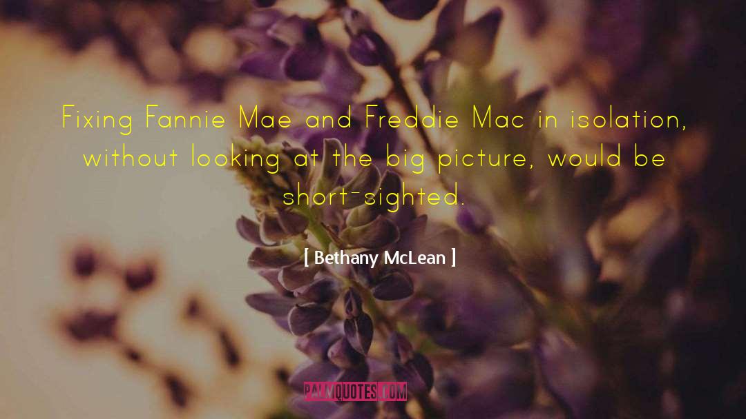 Picture Metaphor quotes by Bethany McLean