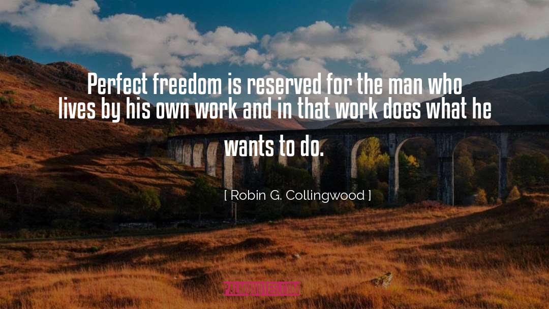 Picture Perfect quotes by Robin G. Collingwood
