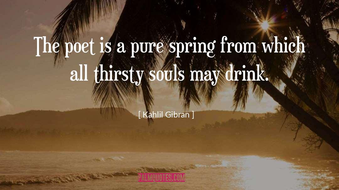 Picture Poet quotes by Kahlil Gibran