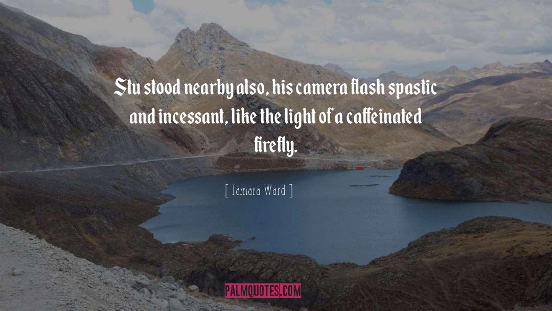 Picturesque Description quotes by Tamara Ward