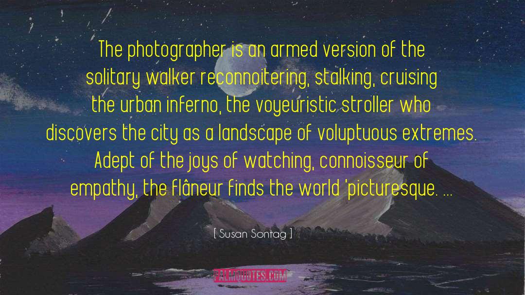 Picturesque Tranquility quotes by Susan Sontag