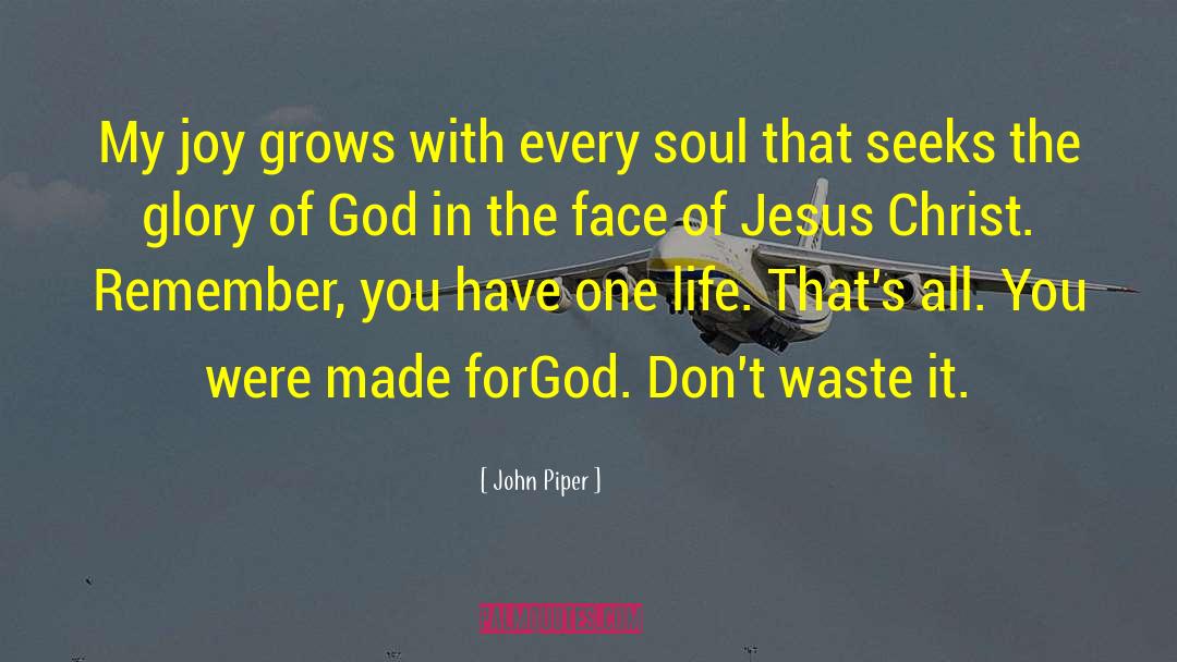 Pie In The Face quotes by John Piper