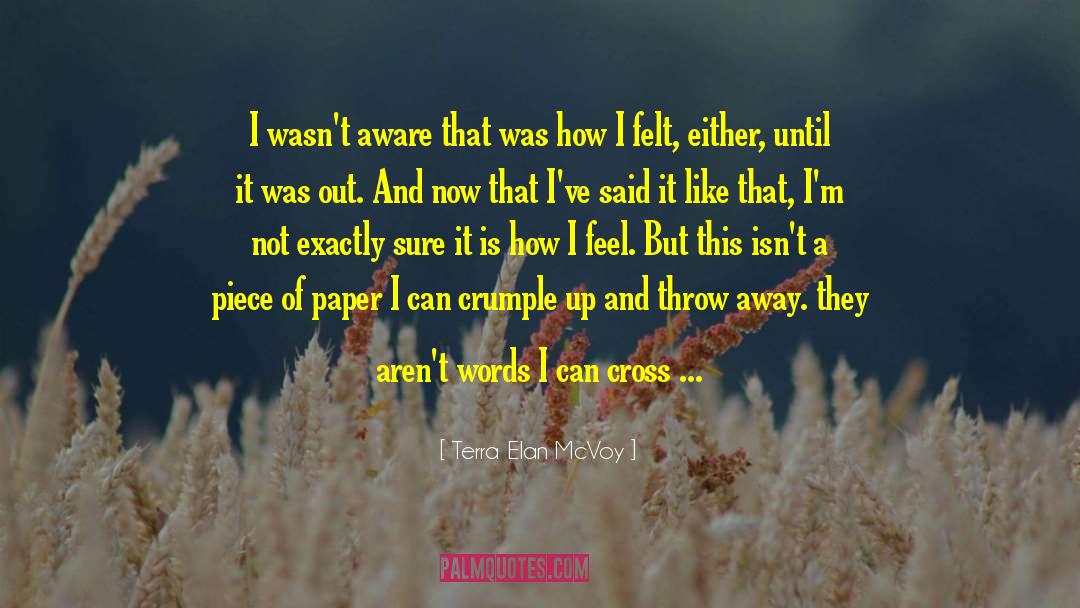 Piece Of Paper quotes by Terra Elan McVoy