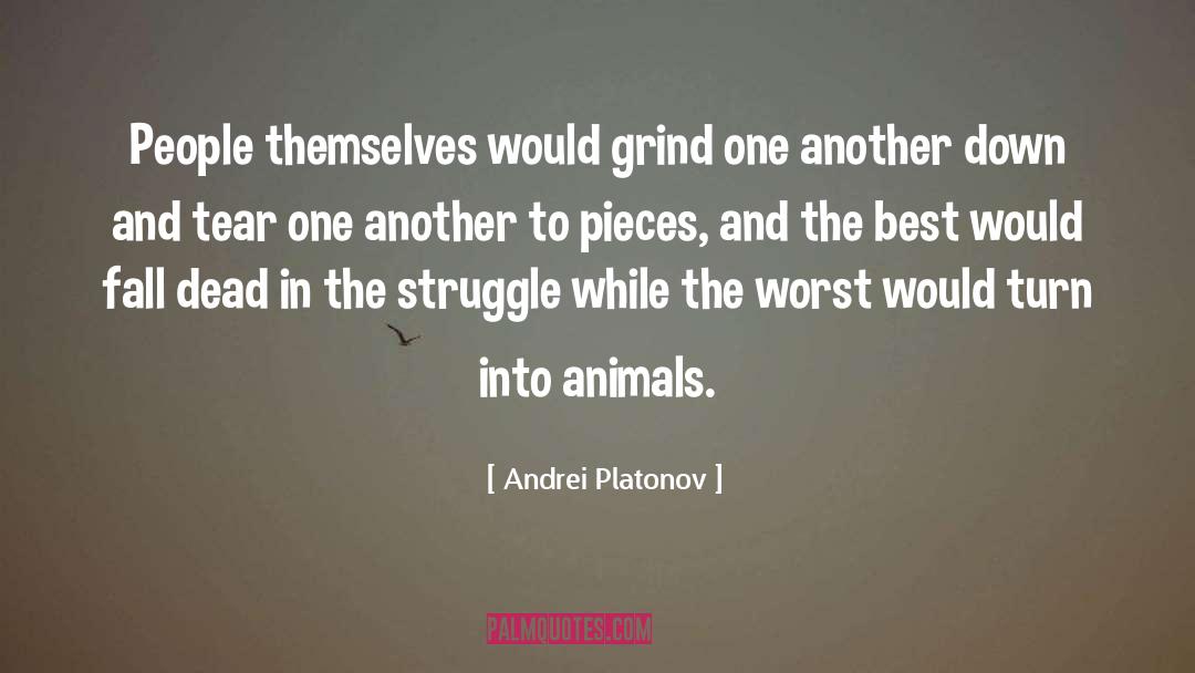 Pieces And Puzzles quotes by Andrei Platonov