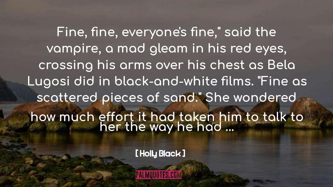 Pieces And Puzzles quotes by Holly Black