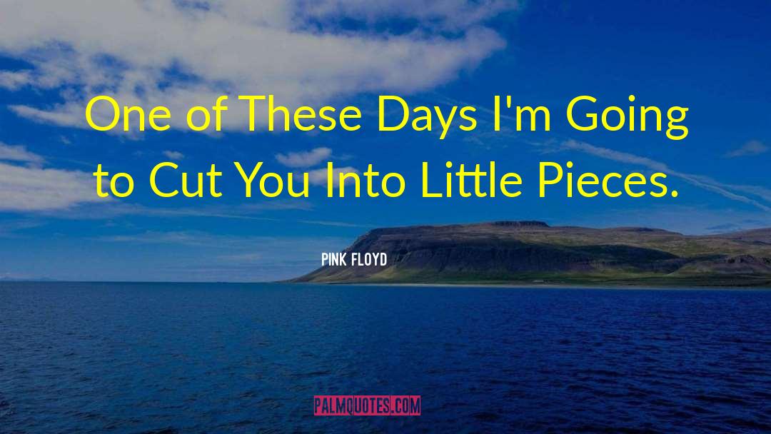 Pieces Of Advice quotes by Pink Floyd