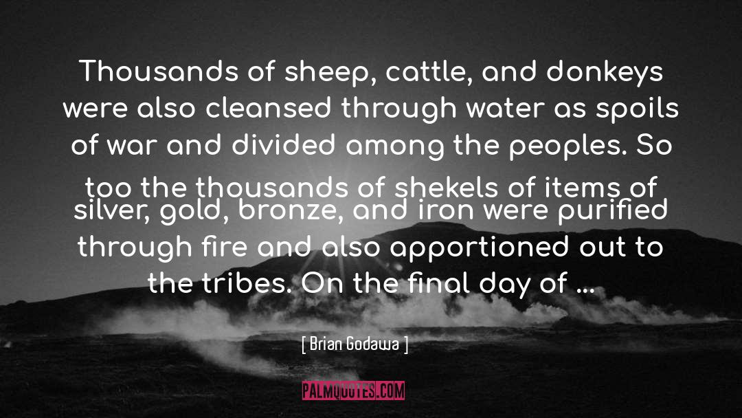 Pies And Sheep quotes by Brian Godawa