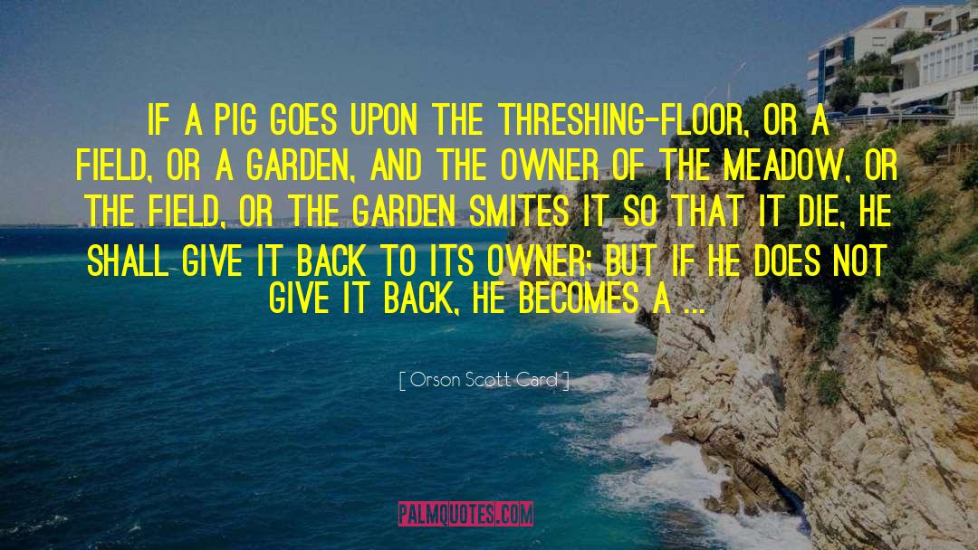 Pig Headed quotes by Orson Scott Card