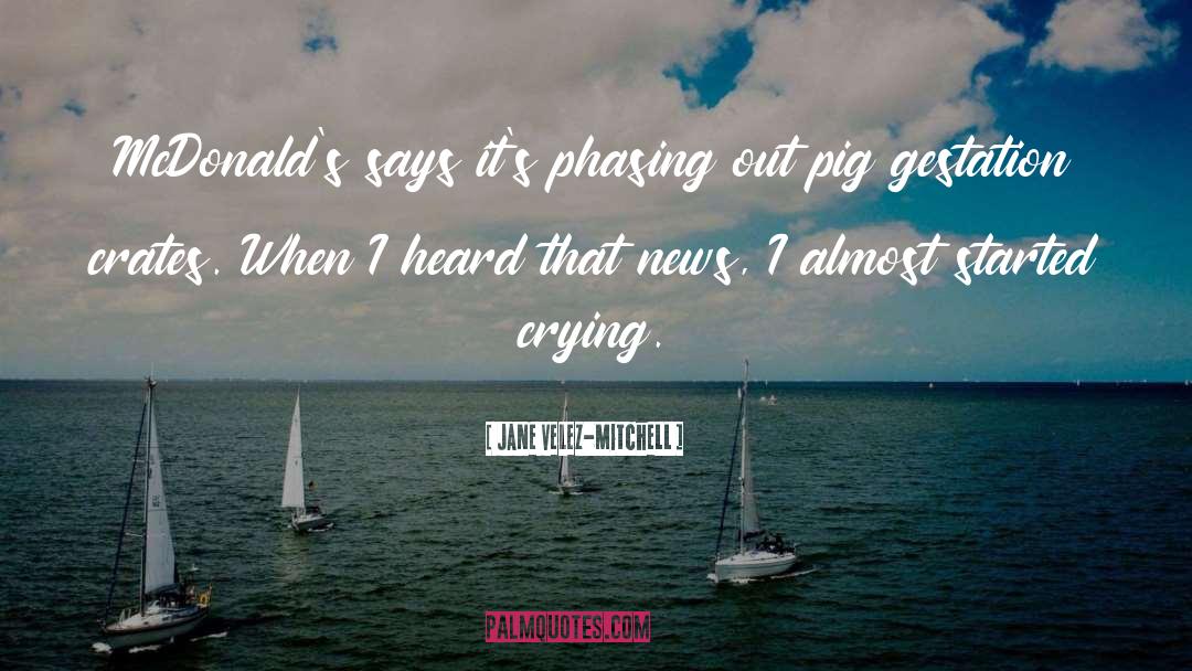 Pig quotes by Jane Velez-Mitchell