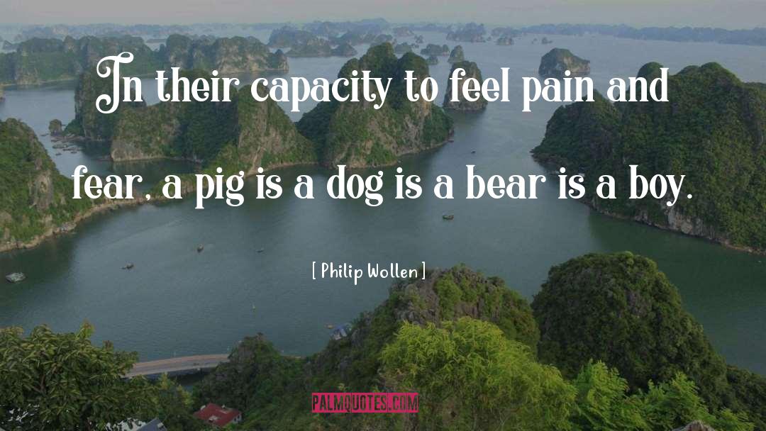Pig quotes by Philip Wollen