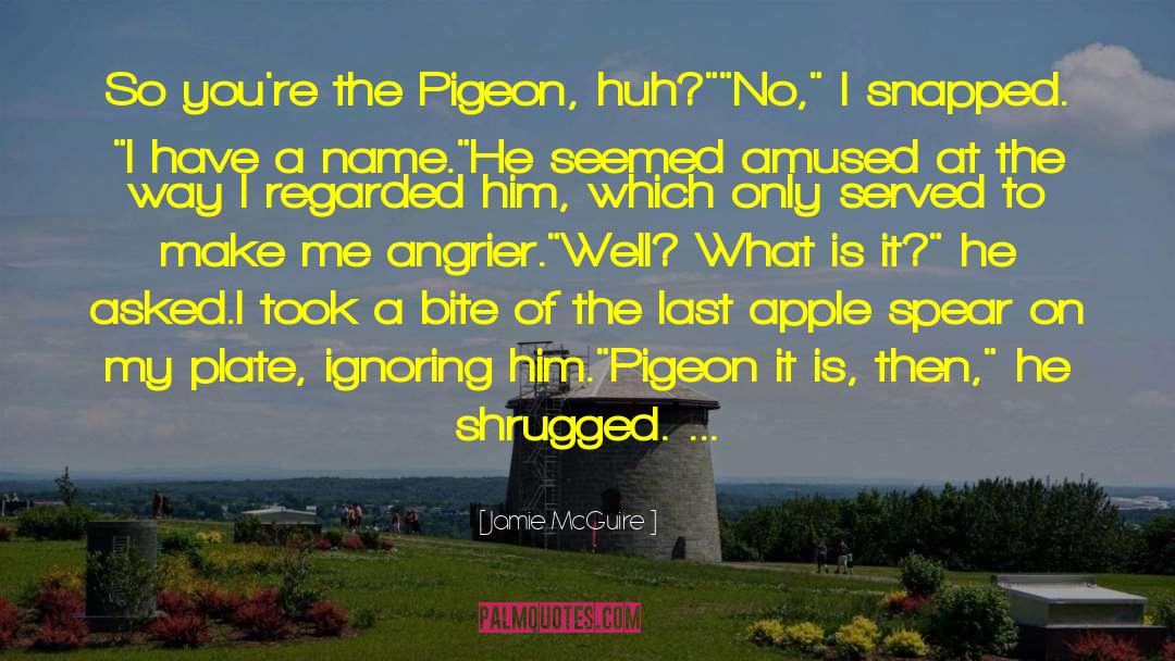 Pigeon quotes by Jamie McGuire