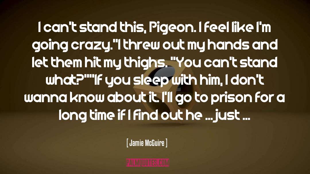 Pigeon quotes by Jamie McGuire