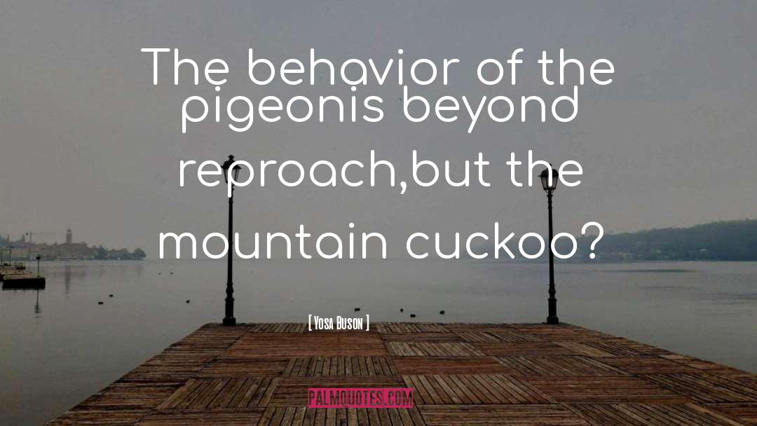 Pigeons Beyond Reproach quotes by Yosa Buson