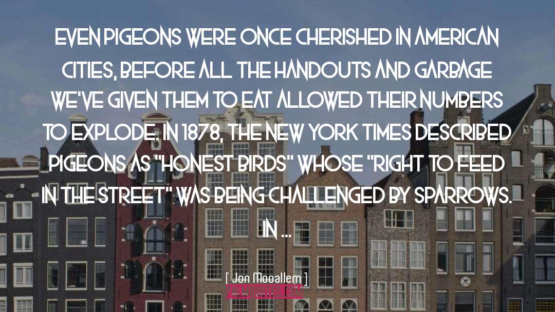 Pigeons quotes by Jon Mooallem