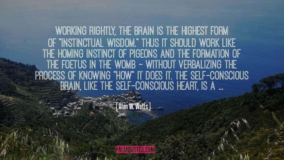 Pigeons quotes by Alan W. Watts