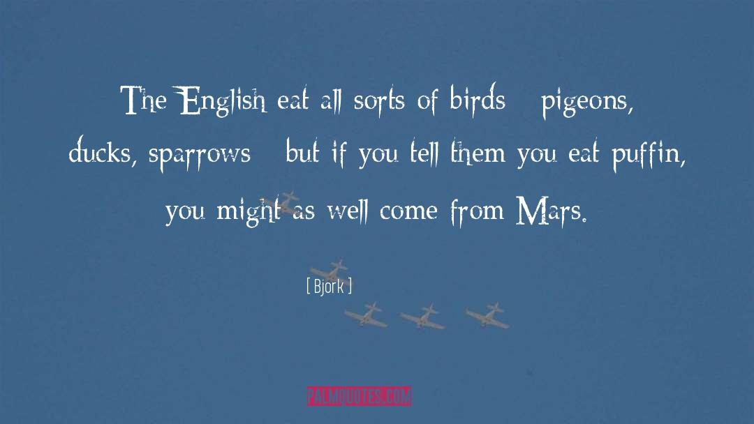 Pigeons quotes by Bjork