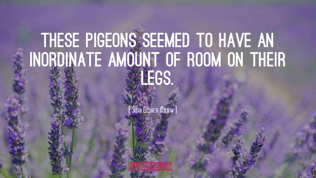 Pigeons quotes by Susan Elizabeth Curnow