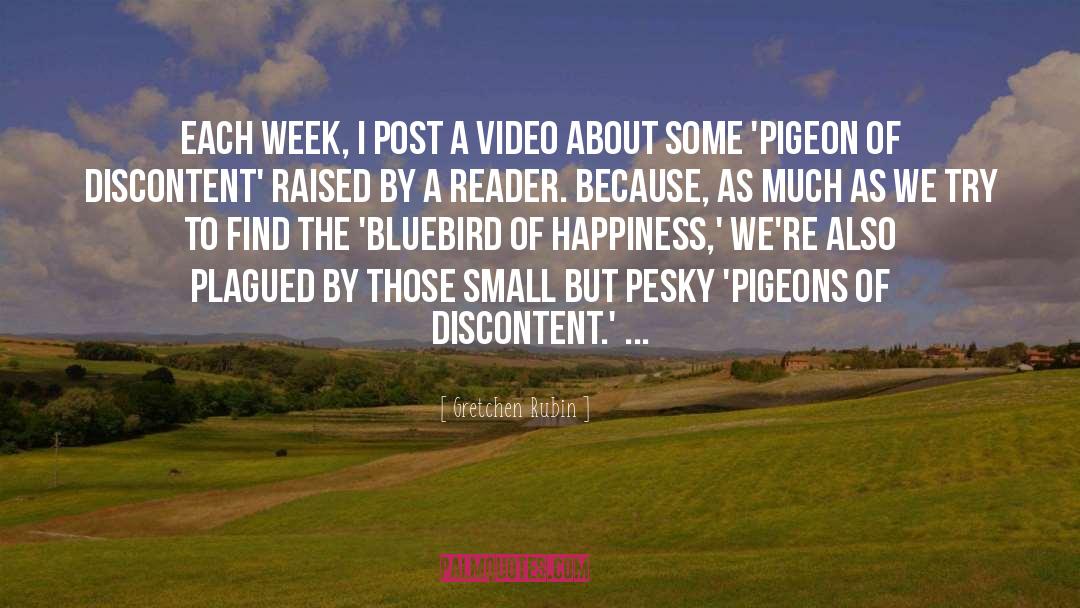 Pigeons quotes by Gretchen Rubin