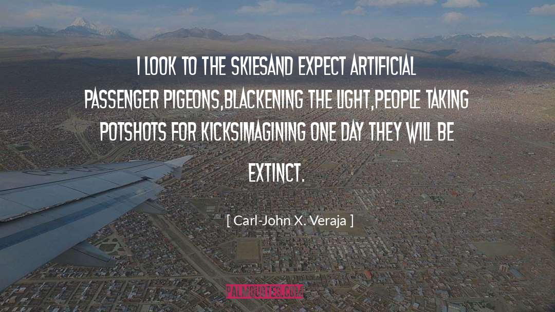 Pigeons quotes by Carl-John X. Veraja