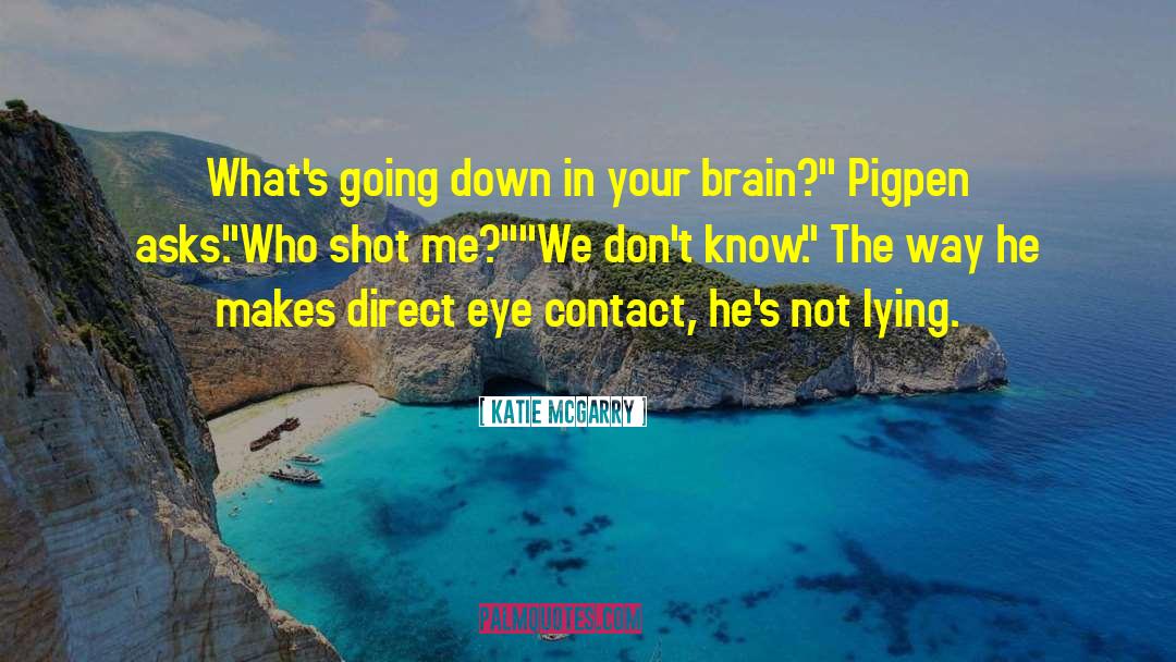 Pigpen quotes by Katie McGarry