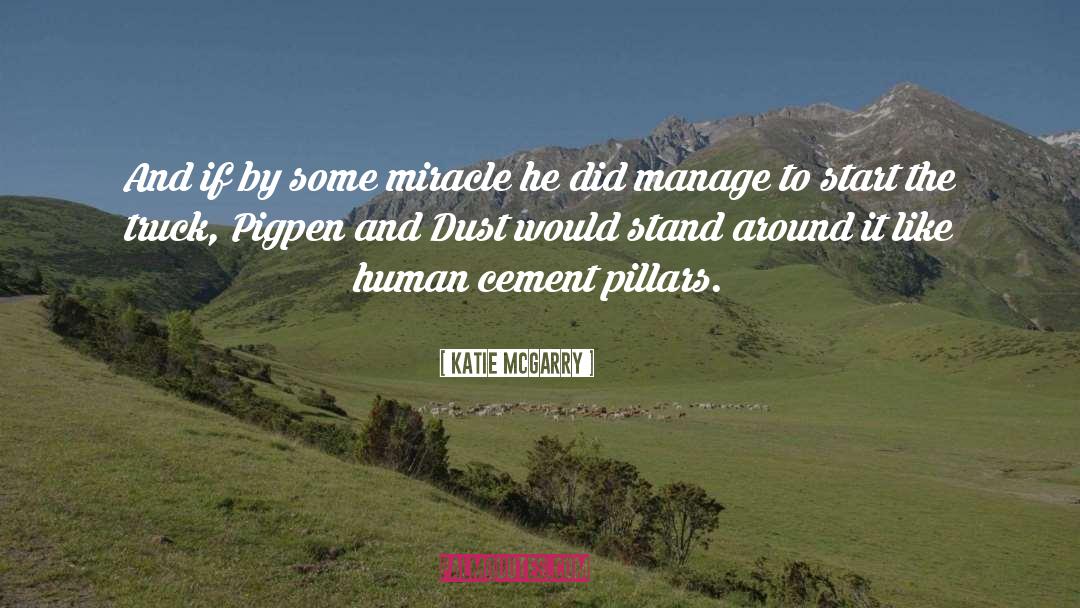 Pigpen quotes by Katie McGarry