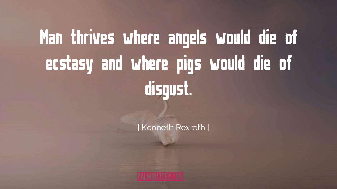 Pigs Get Slaughtered Quote quotes by Kenneth Rexroth