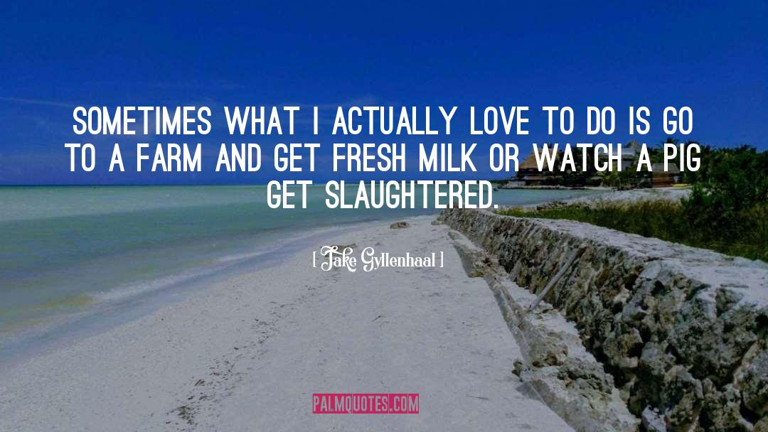 Pigs Get Slaughtered Quote quotes by Jake Gyllenhaal
