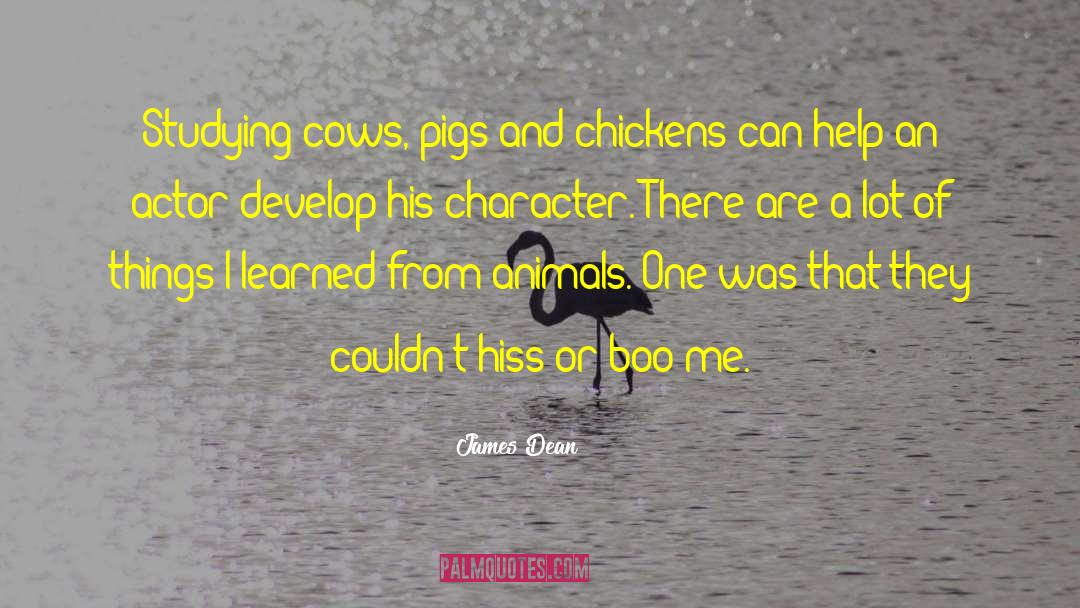 Pigs Get Slaughtered Quote quotes by James Dean