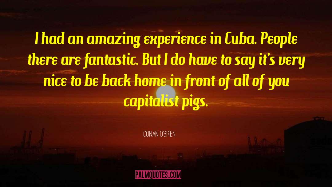 Pigs Get Slaughtered Quote quotes by Conan O'Brien